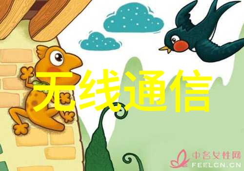软件之心编程艺术与系统智慧
