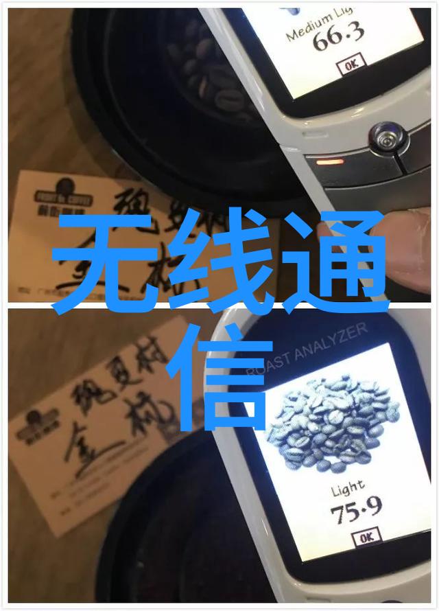 飞贼小兰花的传奇冒险飞贼小兰花的盗窃故事