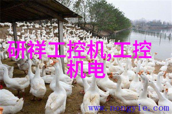 梦境穿梭者与男神共度快穿系统每晚都穿进强大男神的梦境