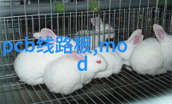 微观奇迹揭秘芯片世界的精巧建筑