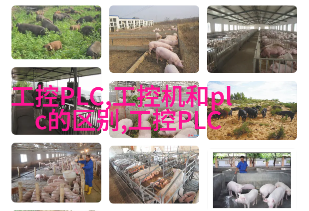 天然材料与灯光结合案例