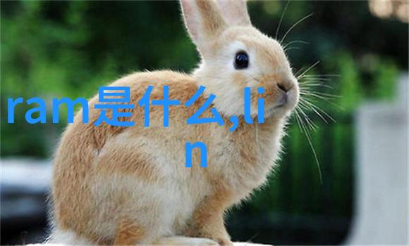 清洁与污染的界限卫生级隔膜阀的逆袭故事