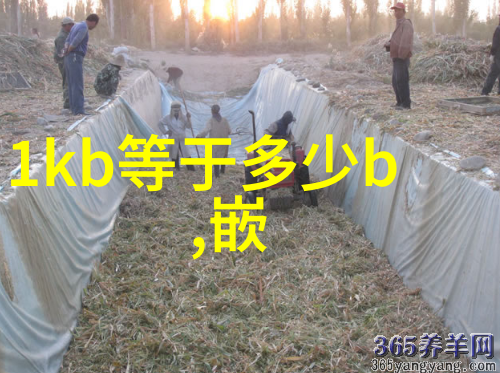 涂胶机粘土与彩绘的交响曲