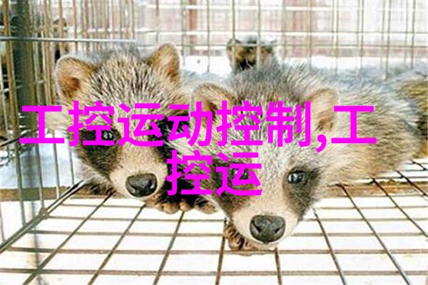 农村自来水过滤设备我家的自来水也能喝得明亮又纯净了