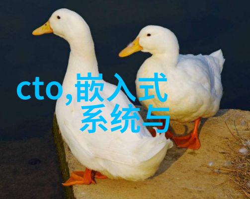 个人如何申请专利及流程-从创意到实践个人专利申请全攻略