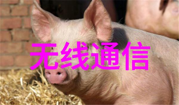 主题我是如何用旋转蒸发仪让水分消失的神奇小工具