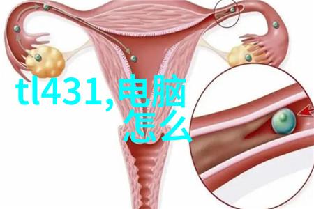 全国五大批发市场你去了几个