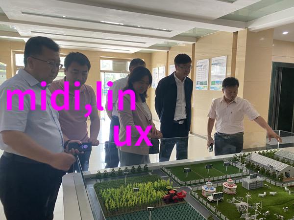 彩钢压瓦机重塑建筑新篇章的创新之选