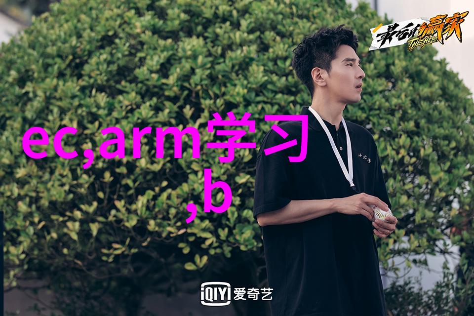 YY6080A旧里番回顾探索经典动画的魅力