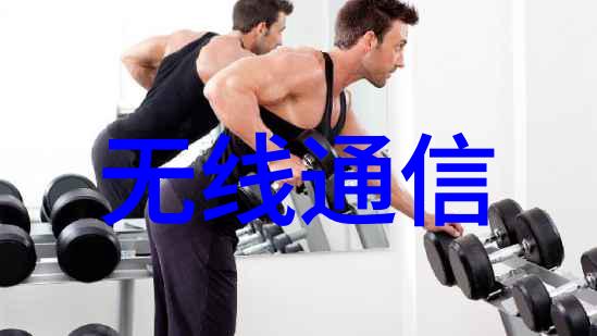 微型巨脑嵌入式个人计算机的隐秘革命