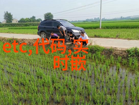 沉降式离心机-旋转与沉淀沉降式离心机的工作原理与应用