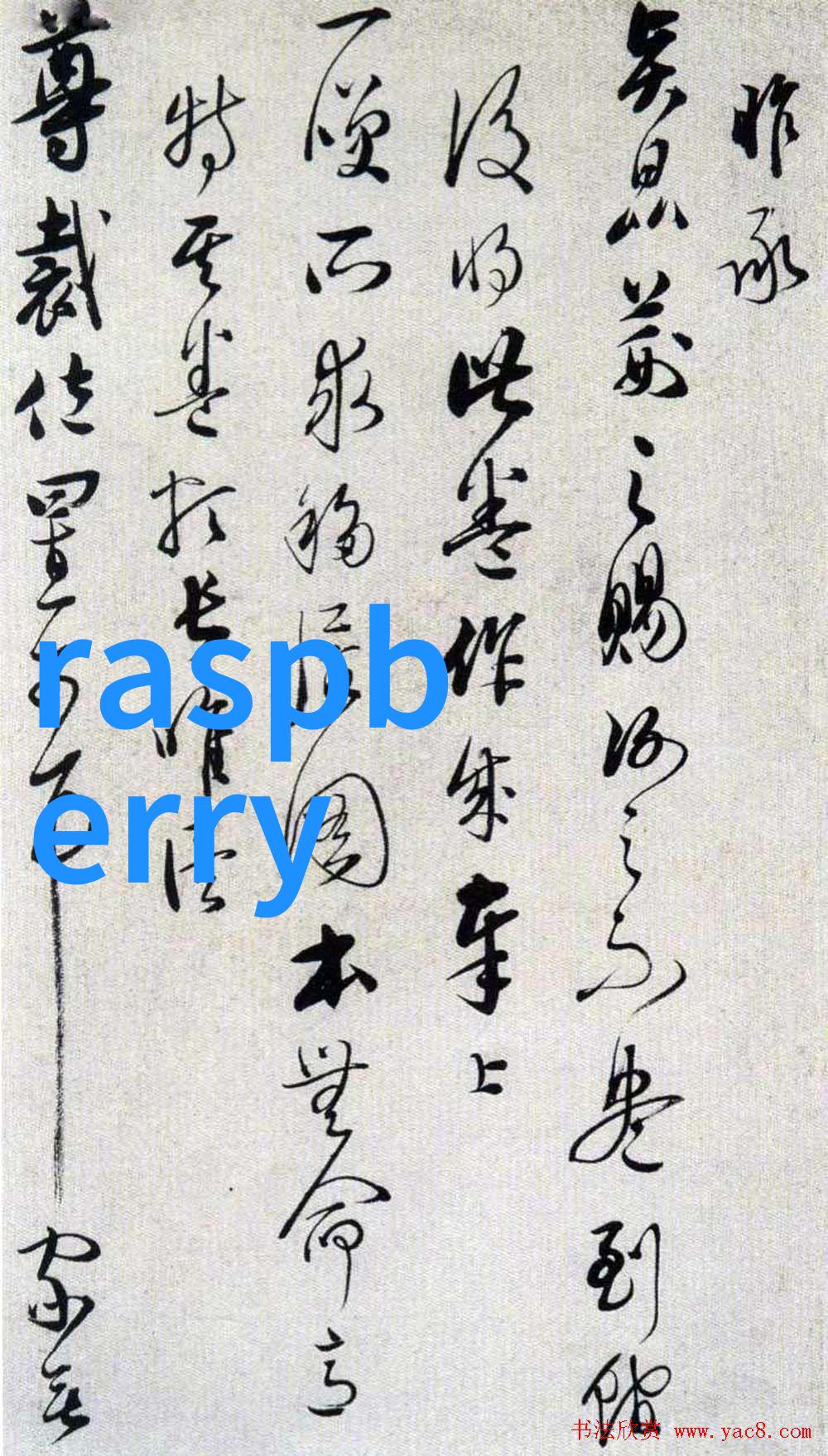高压灭菌锅开一晚上有事吗我的家用超市探秘