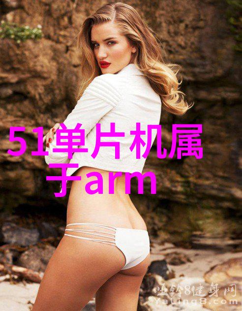 工业生产中的大型离心分液机操作指南