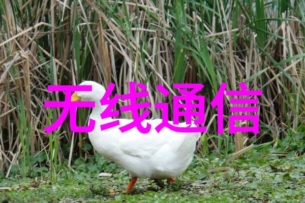 嵌入式开发软件概述与应用分析