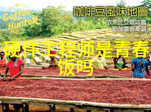 大型净水设备安装流程专业技术指导与实用操作手册
