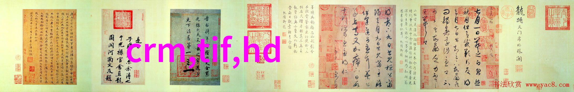 PE排水管材厂家高质量管道解决方案专家