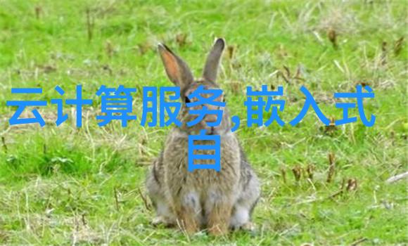 如何选择适合特定隧道条件的风机型号