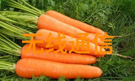长月无烬原著免费阅读我是你心中的那本书
