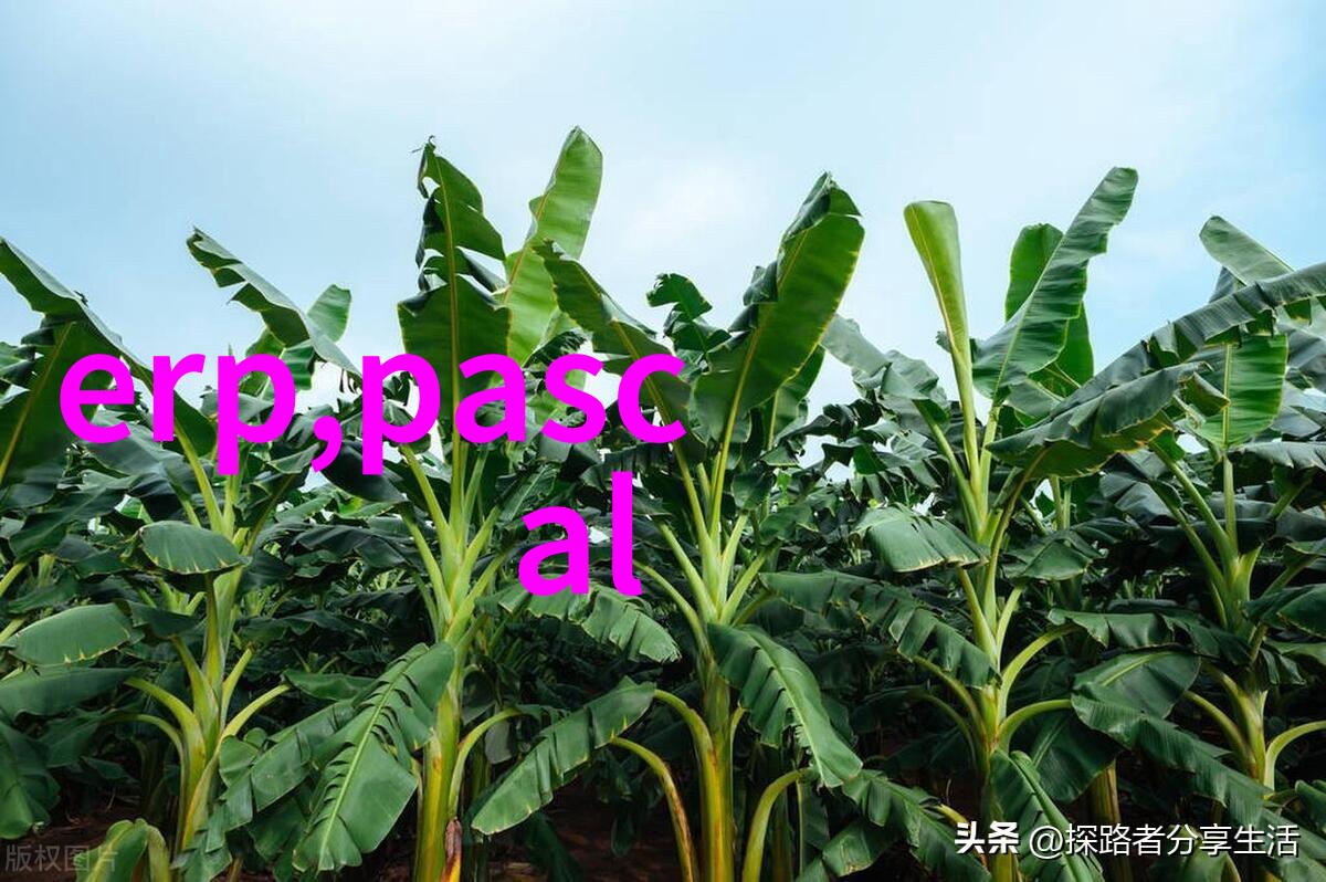 装修材料大全完美家居的选择指南