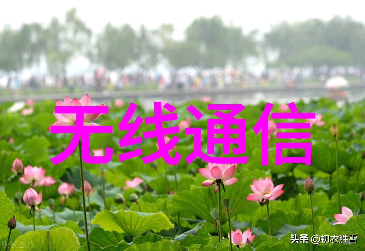 解压生活rar文件与压缩文化的故事
