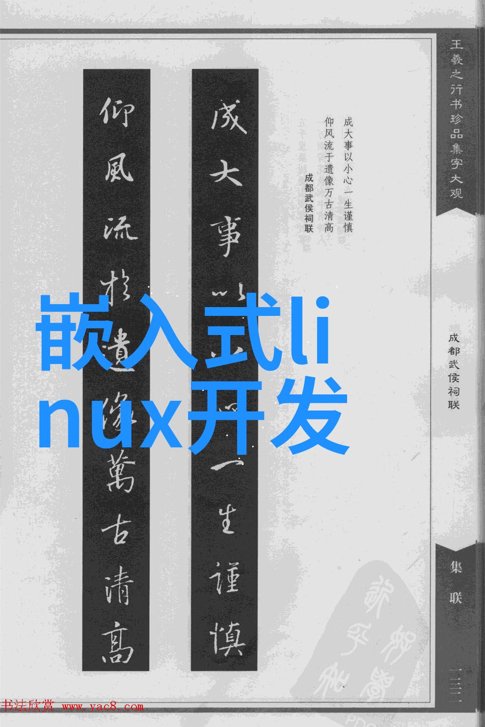 男女交融的奇妙蘑菇世界坤坤与其深邃坤里的秘密对话