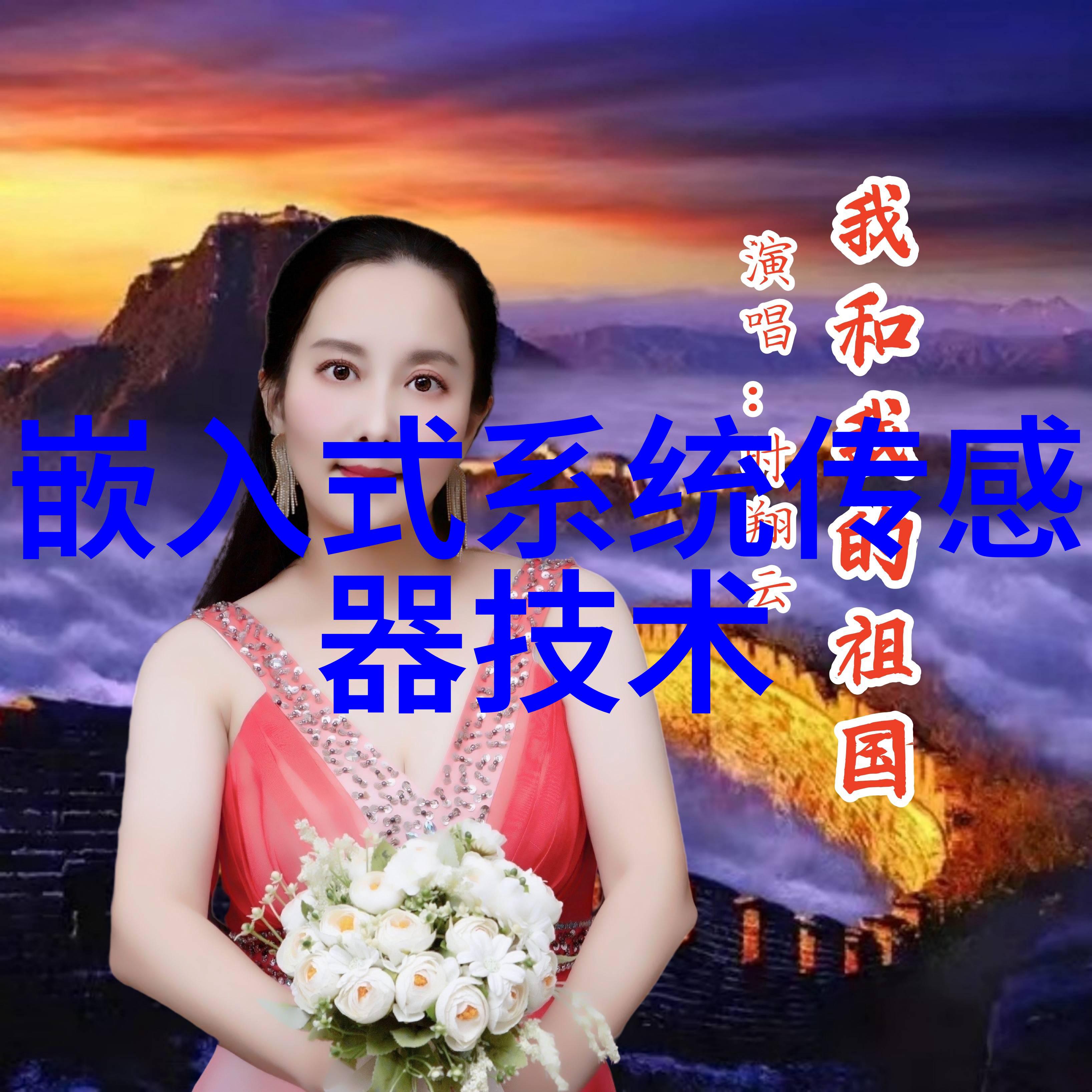 冷凝效率的新篇章不锈钢冷凝器的崛起与应用前景