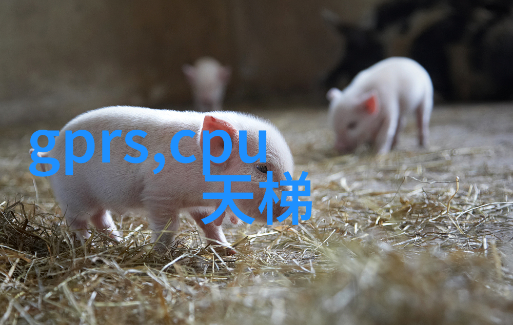 智能制造实训当机器人遇到笑匠谁会成为制造界的喜剧之王