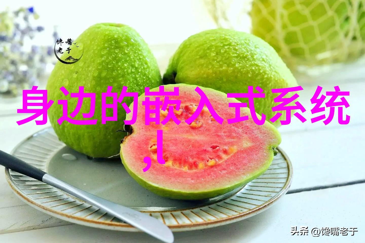 测径仪-精确测量直径的利器