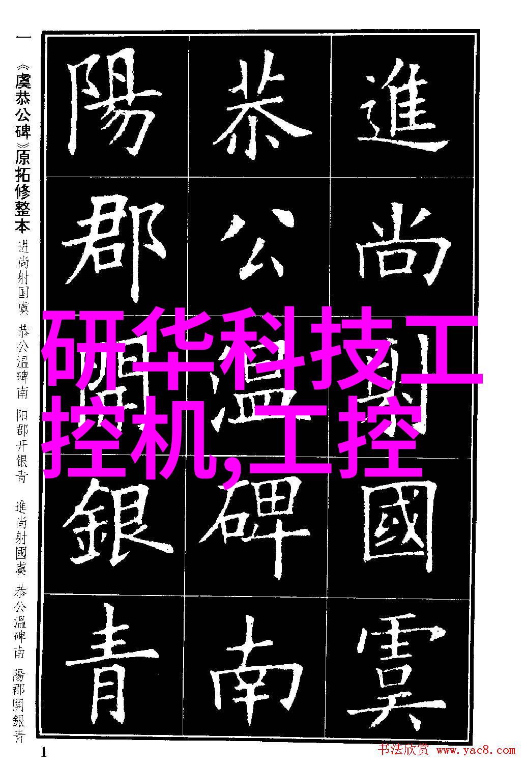 森林探索-踏入自然探秘你的森林视频APP