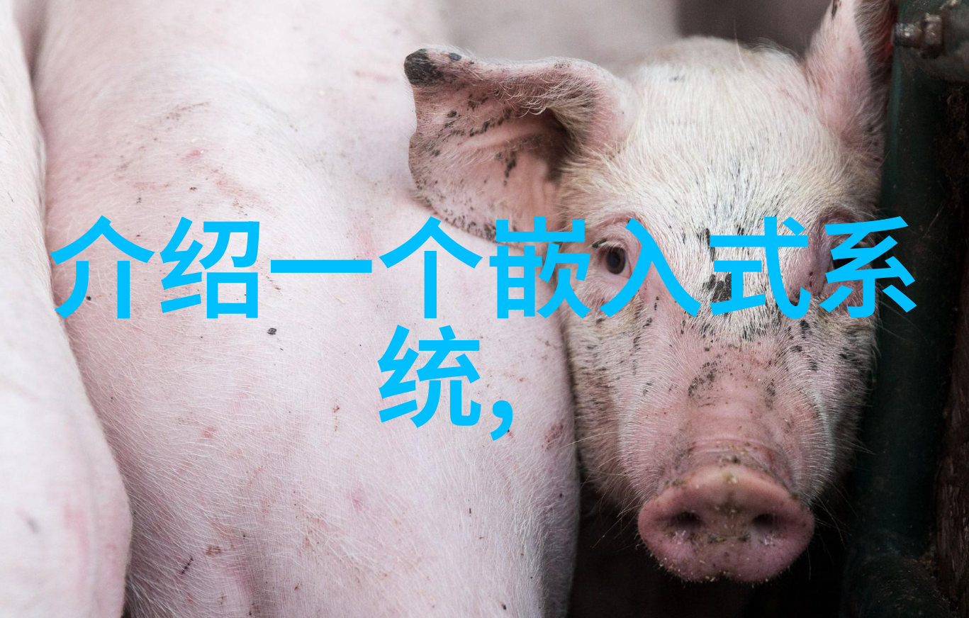 灭菌锅是否属于特种设备的分类与使用标准