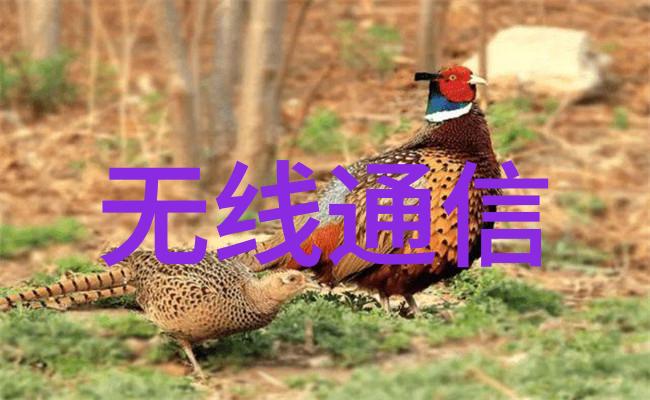 液力耦合器的工作原理与应用概述
