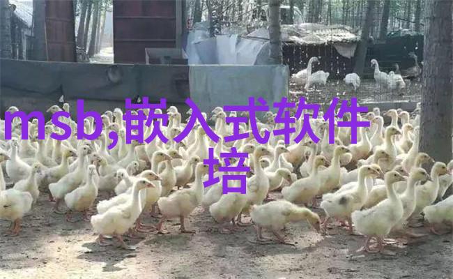 化学反应的精妙编织管件之舞