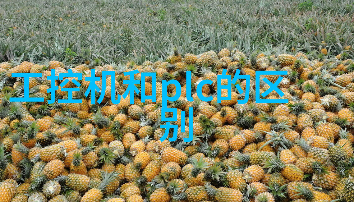 研华工作站610配备了哪些标准和选项端口以适应不同的连接需求