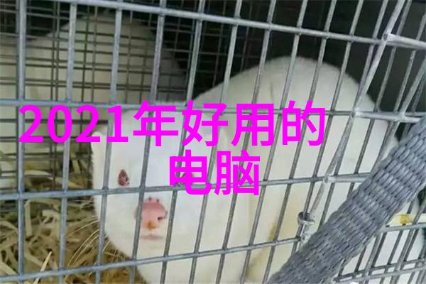 人才选拔流程中工商信息对比的重要性