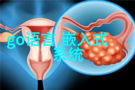 外墙砖的选择与应用材料风格与装饰技巧
