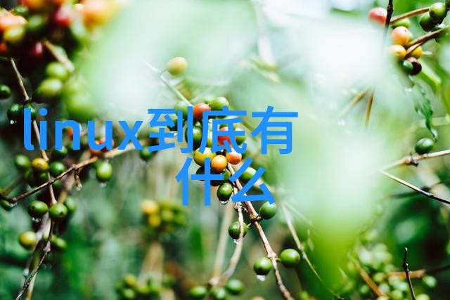 家居美学温馨雅致的客厅空间营造
