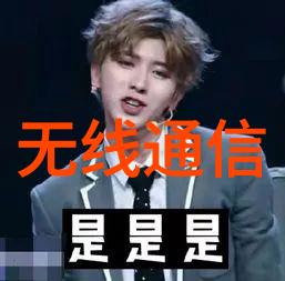 微型奇迹揭秘编程世界中的智能装置开发艺术