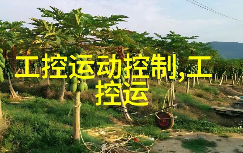 ARM工控机的应用前景与挑战