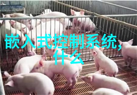 情绪调节器心理健康中使用的促进剂探究
