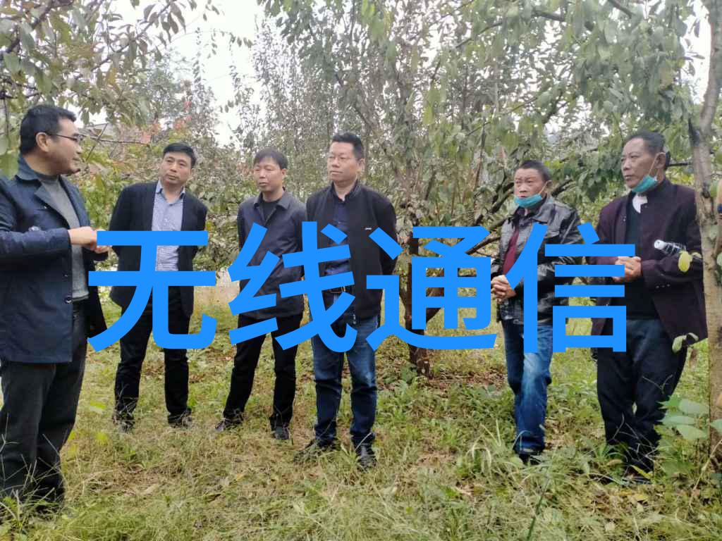 早晨的惊喜一只小生命的第一声呼唤