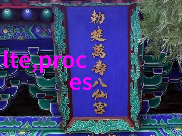 绽放的爱追寻世界级情人的浪漫足迹
