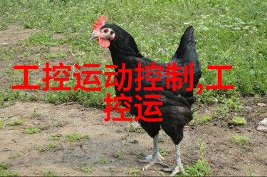 中德华胜制药设备有限公司桥梁般的合作创新驱动制药产业发展