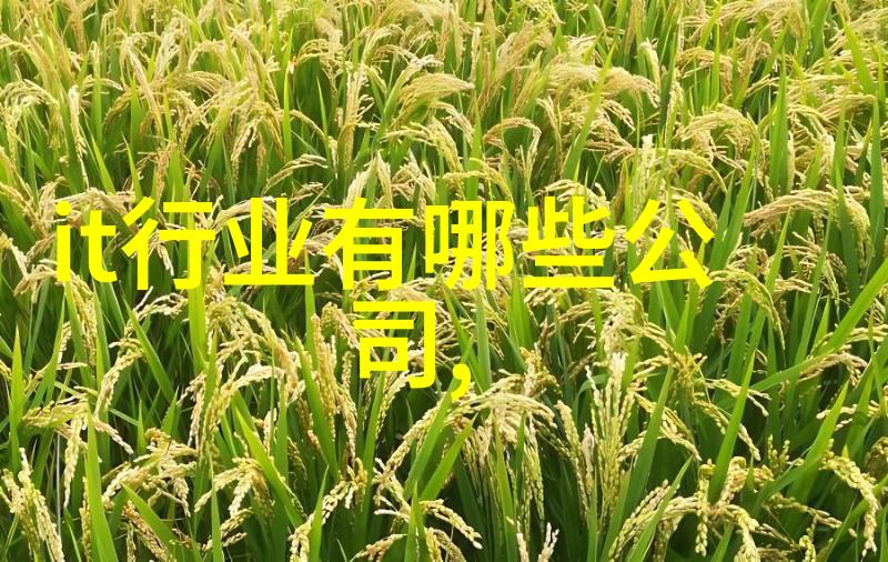 小兔子的诱惑与英语老师的秘密