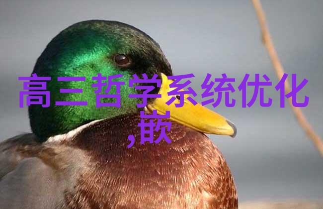 金属水龙头的未来不锈钢喷头革新生活品质