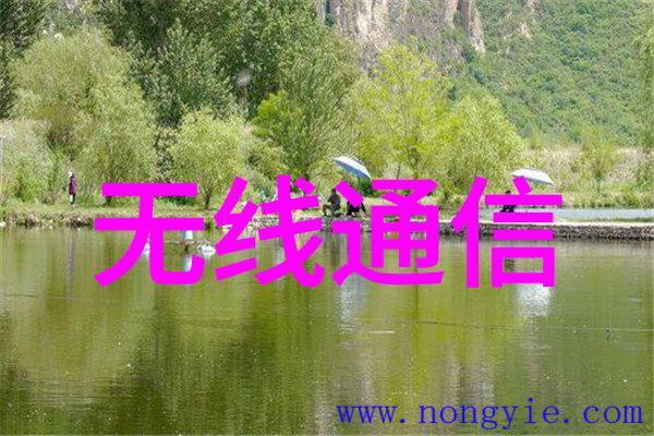 案例2