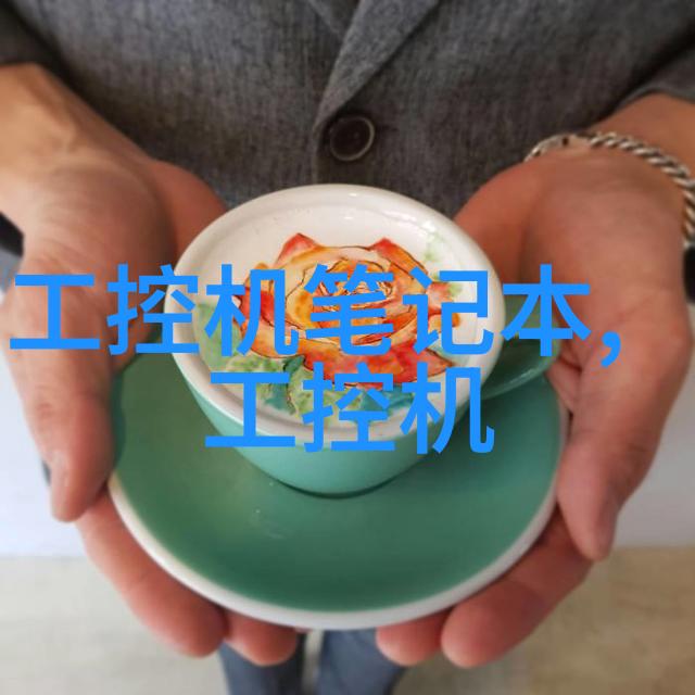 电蒸汽发生器与蒸箱系统高效水处理的关键技术