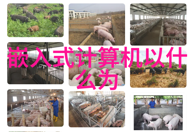 实验室水浴锅-温暖的智慧探索实验室水浴锅在化学反应中的关键作用