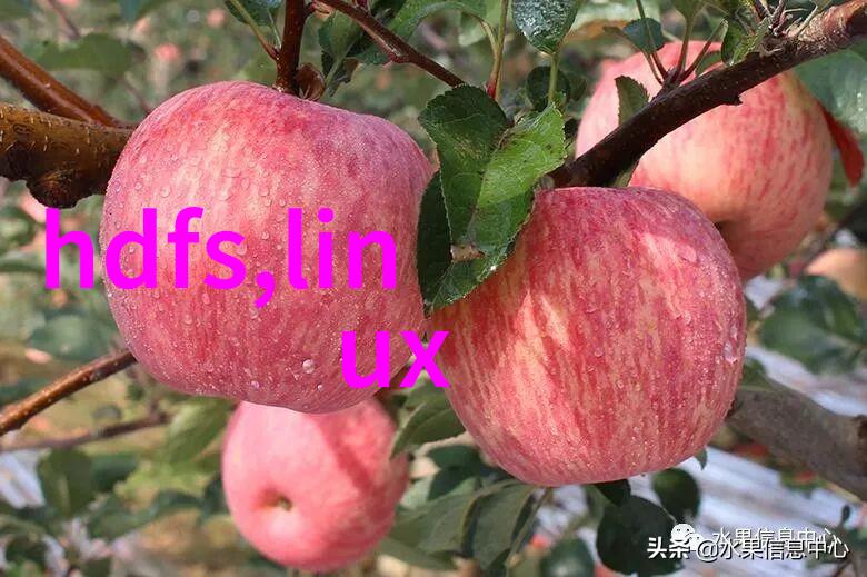 化学物流的精髓机械化灌装的无缝舞蹈