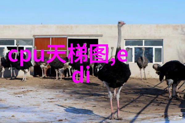 工业明胶胶合梦想的粘性力量