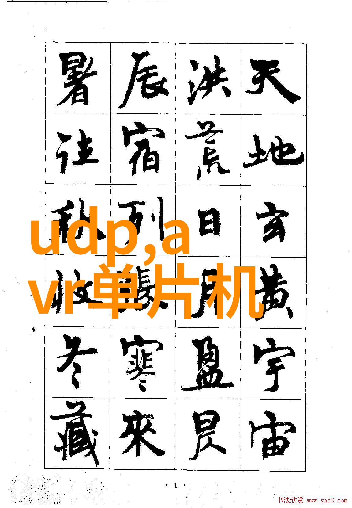 BY77737鱿鱼网独家海洋生物探索平台